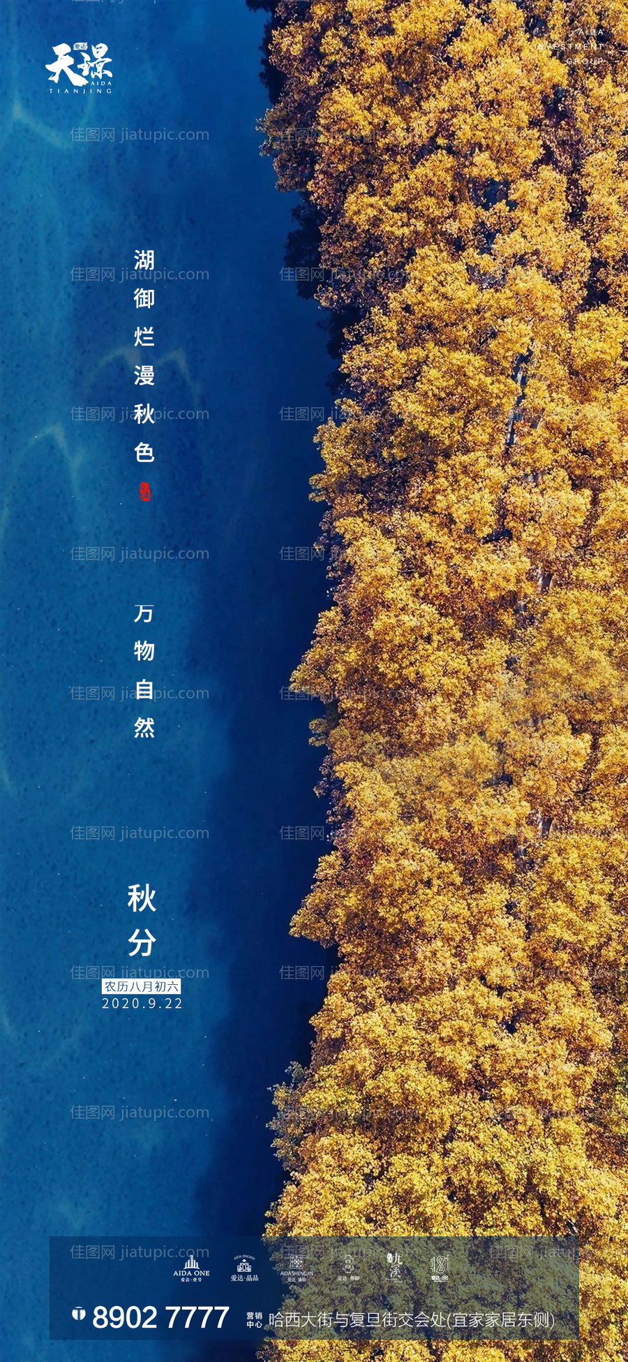 秋分节气海报-源文件
