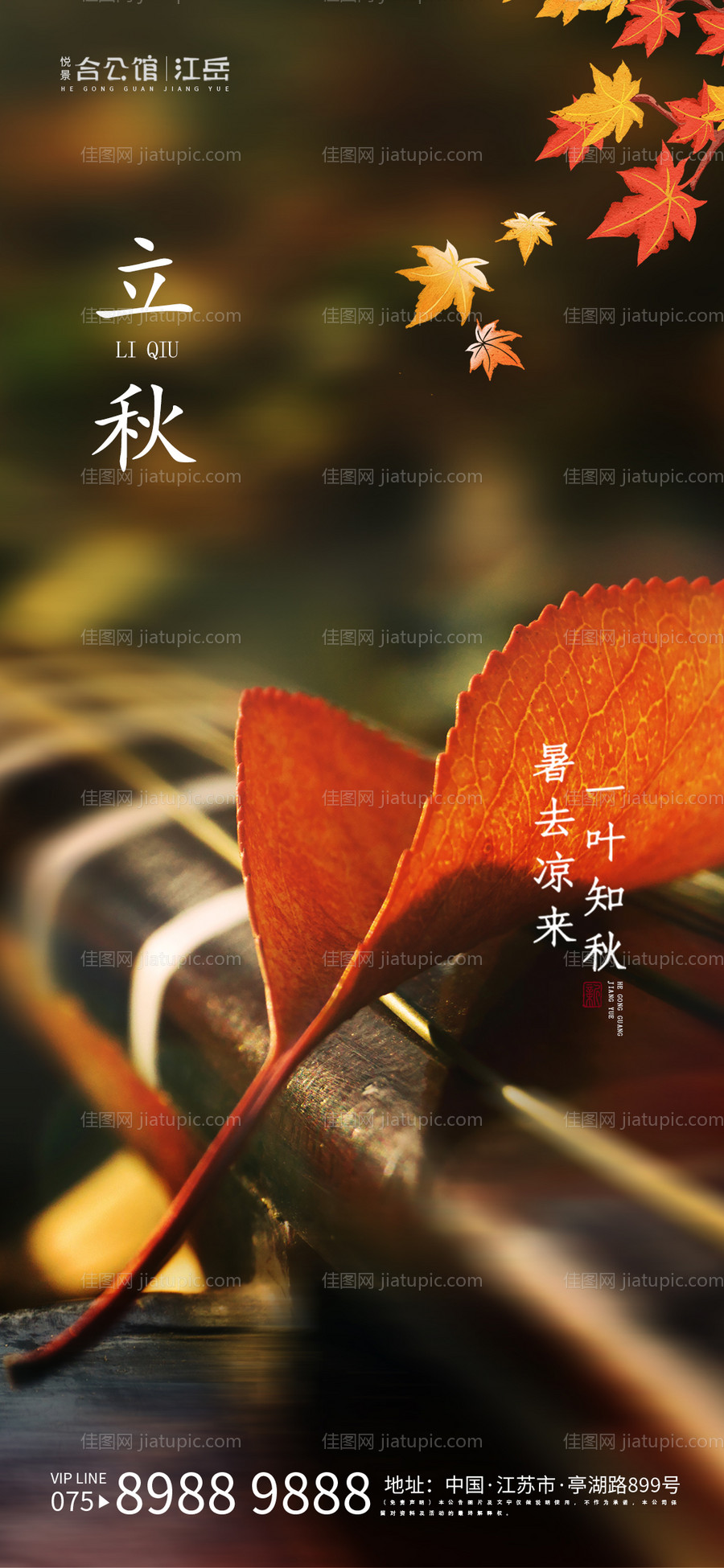 立秋节气移动端海报-源文件