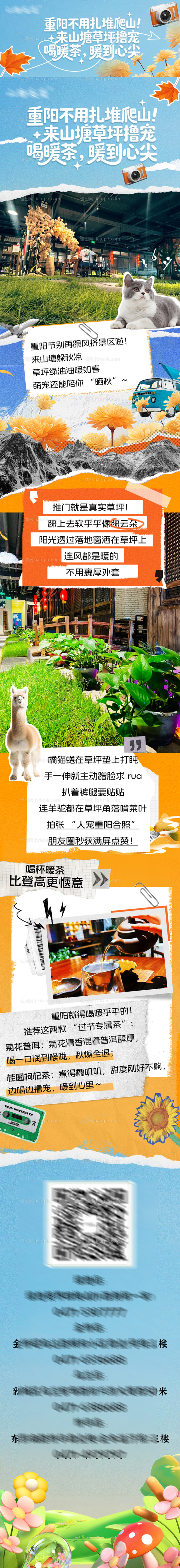 茶庄重阳节推文-源文件