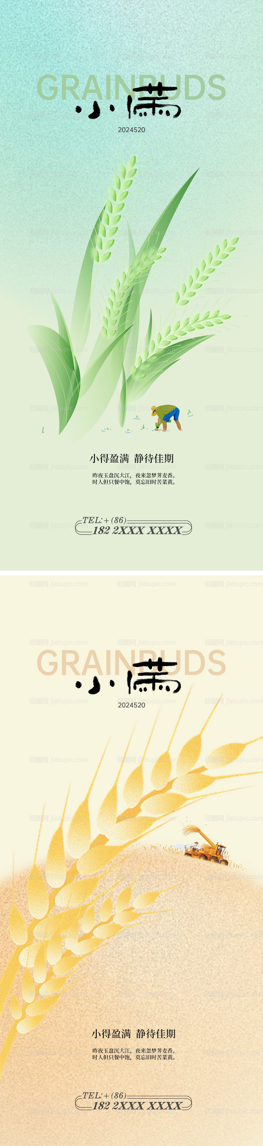 小满节气海报-源文件