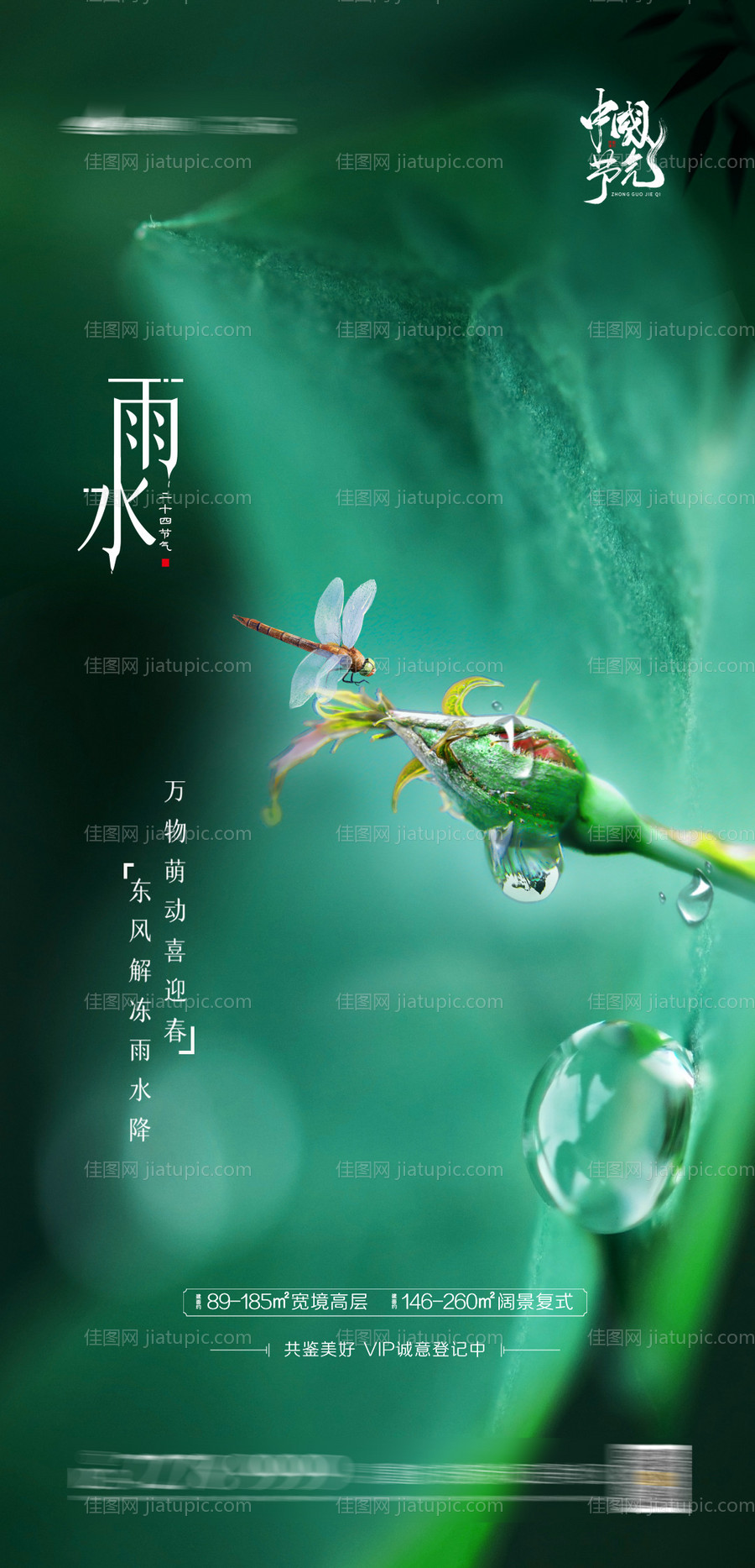 雨水节气海报-源文件