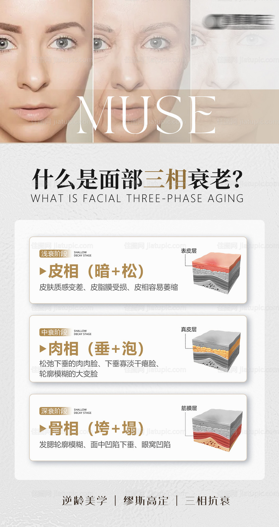 面部三相衰老-源文件