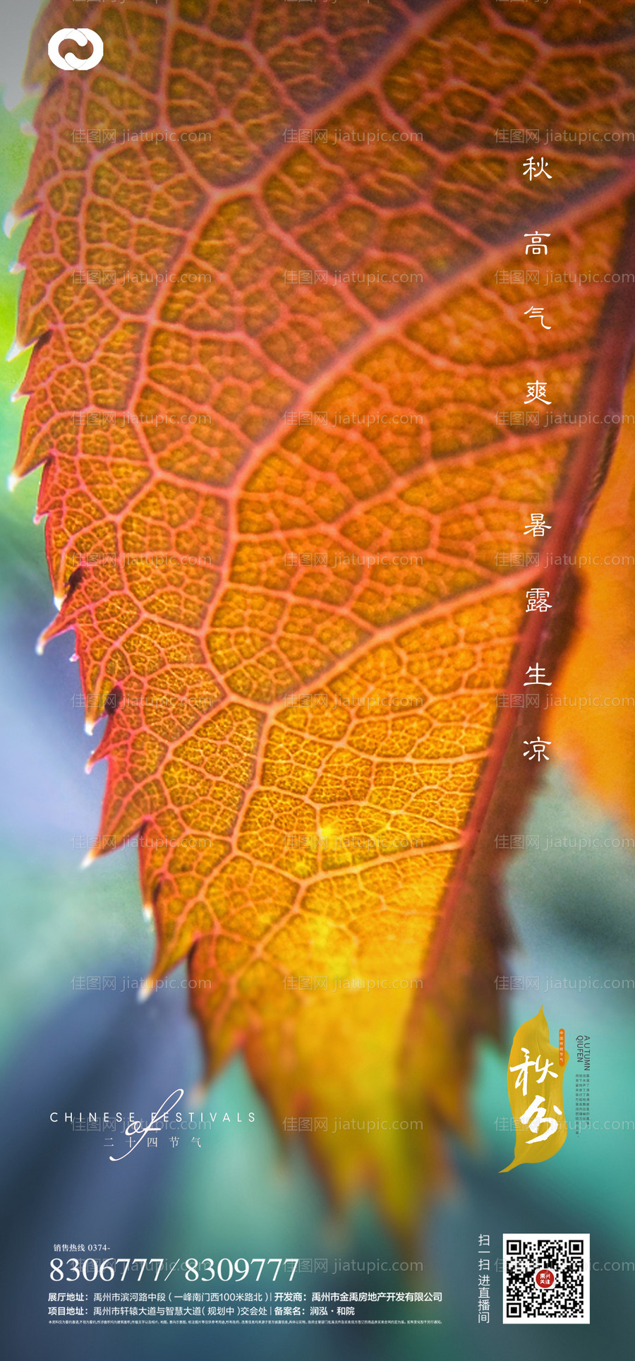 秋分海报节日海报-源文件