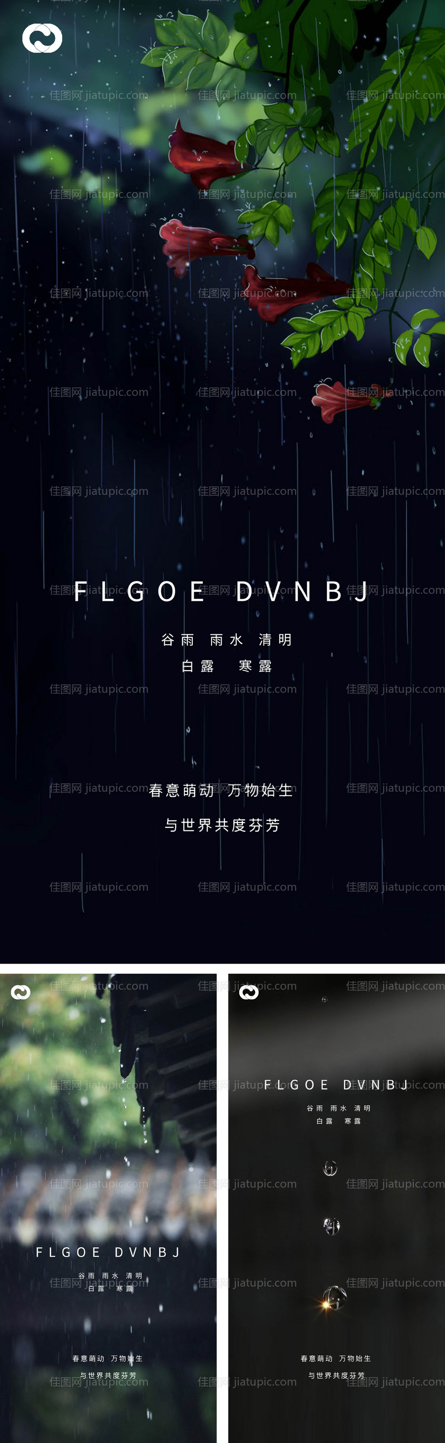 雨水谷雨清明白露寒露系列海报-源文件
