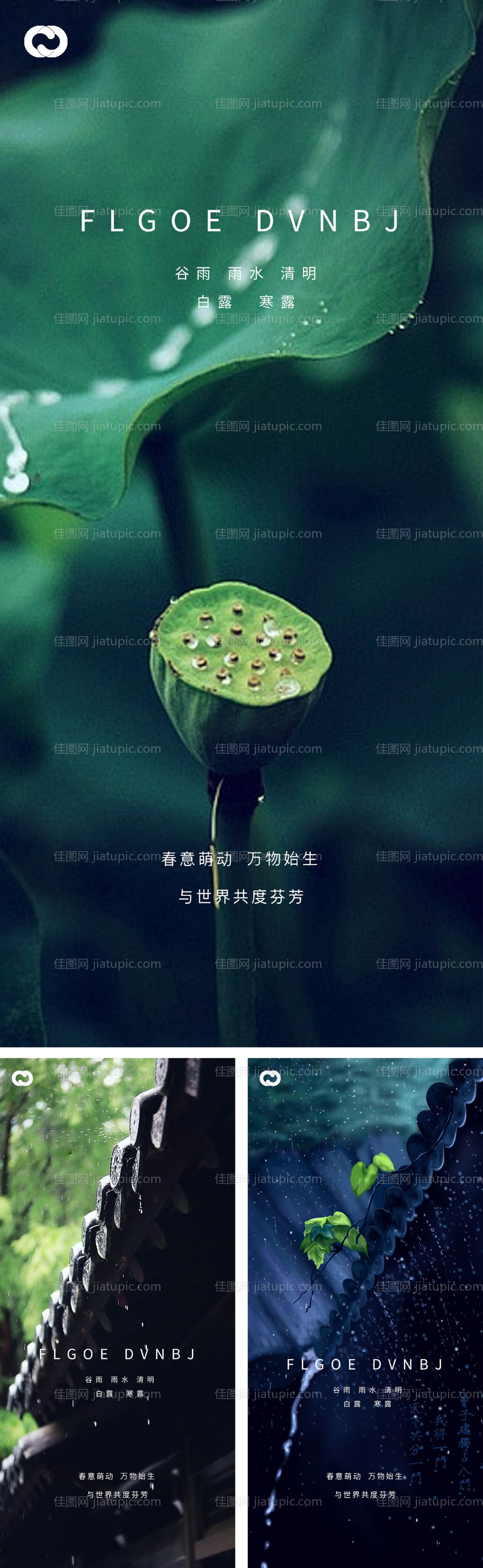 雨水谷雨清明白露寒露系列海报-源文件