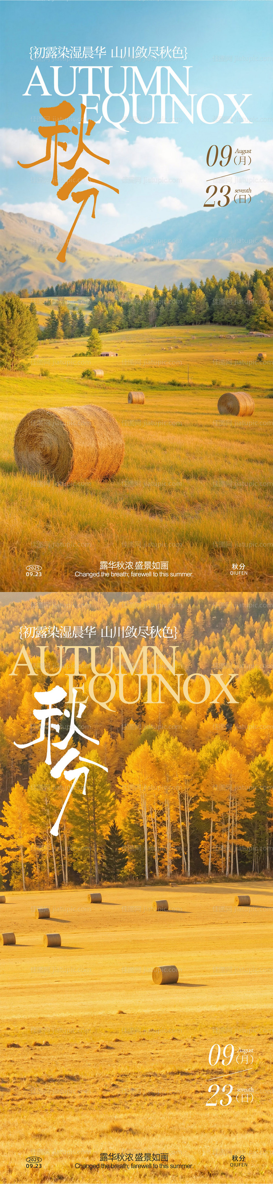 秋分节气系列海报-源文件