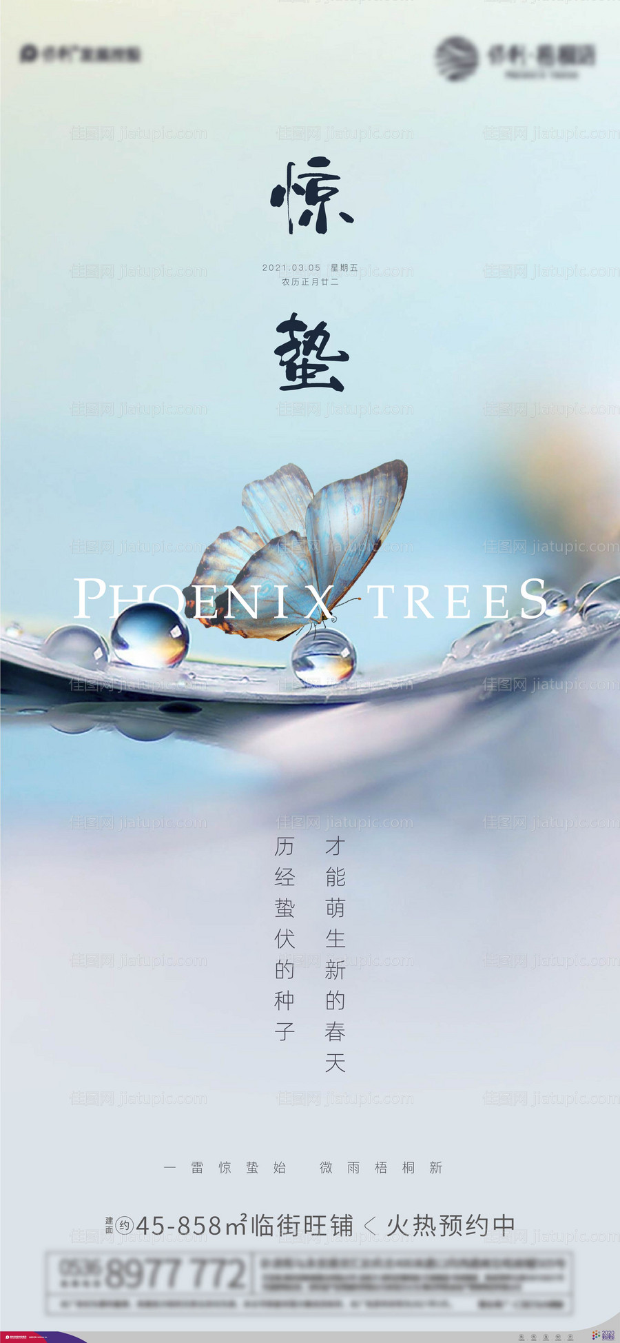 地产惊蛰节气海报-源文件