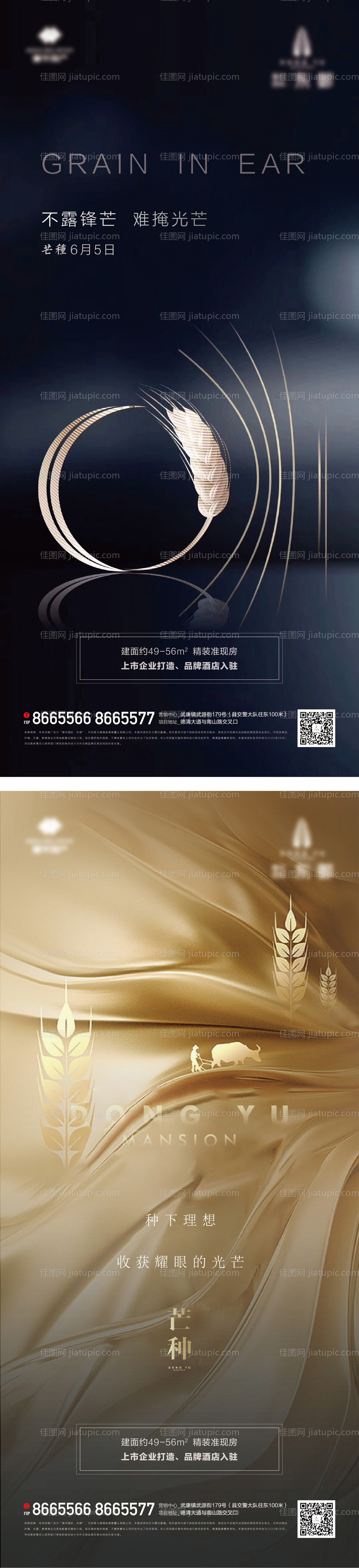 地产芒种节气系列海报-源文件