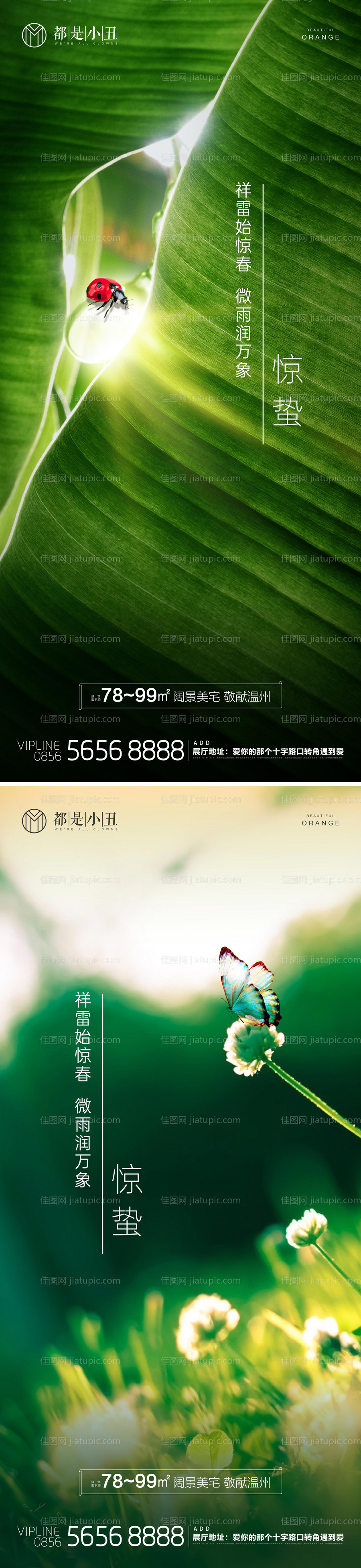 地产惊蛰节气稿-源文件