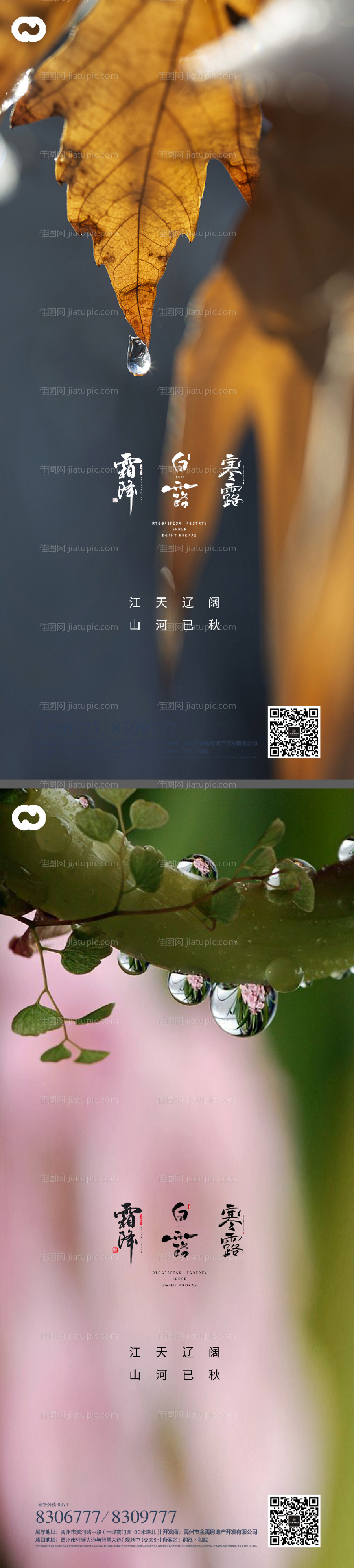 白露寒露霜降节日系列海报-源文件