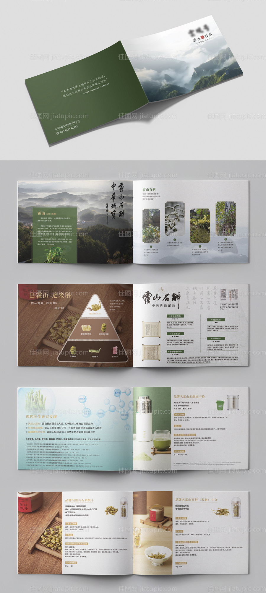 霍山石斛宣传册-源文件
