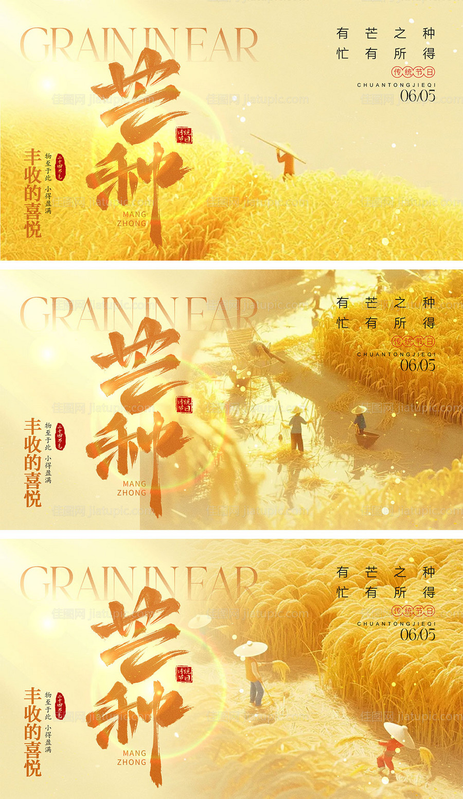 芒种节气海报-源文件