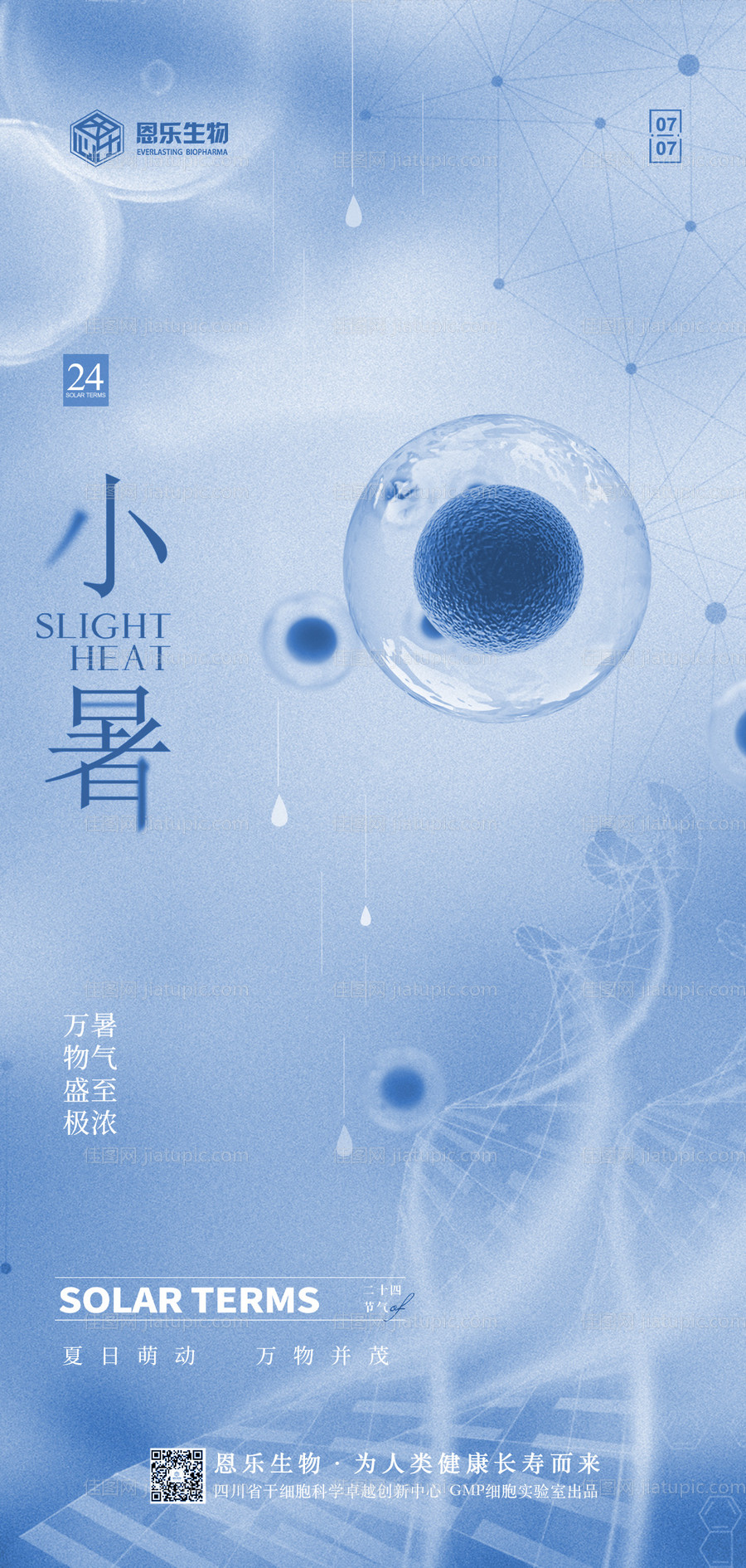 小暑节气海报-源文件