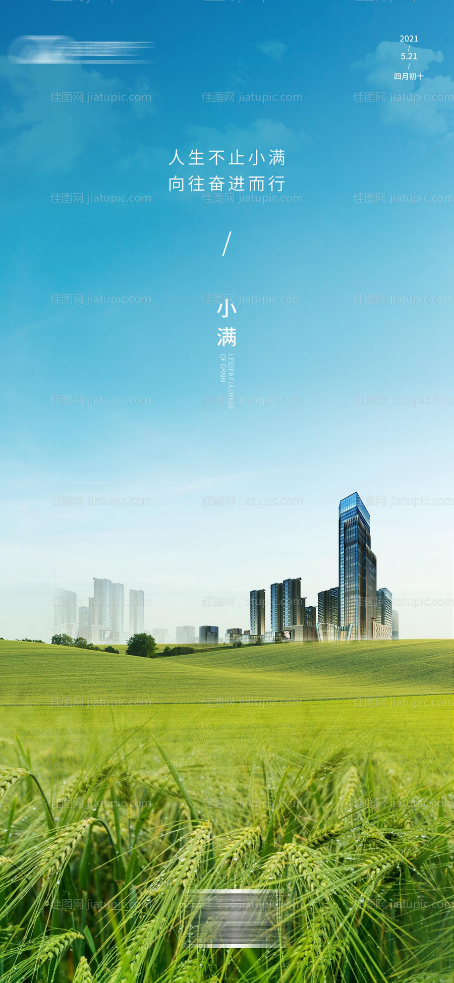 地产小满节气海报-源文件