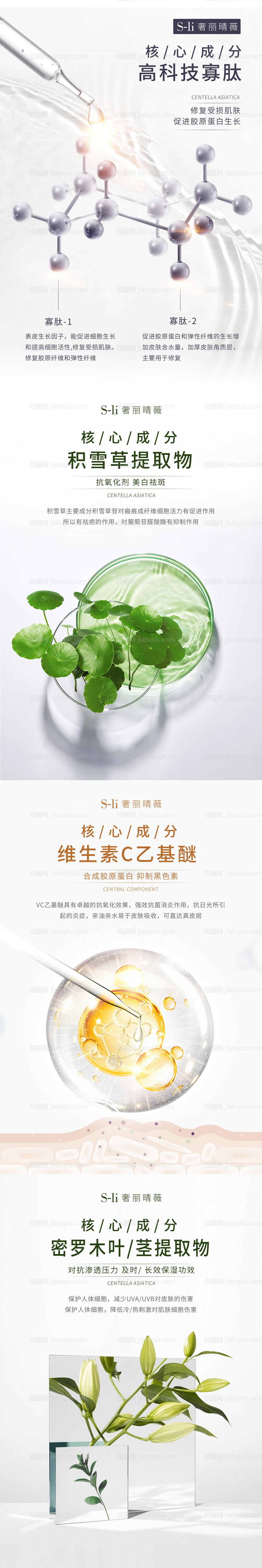 护肤成分海报-源文件