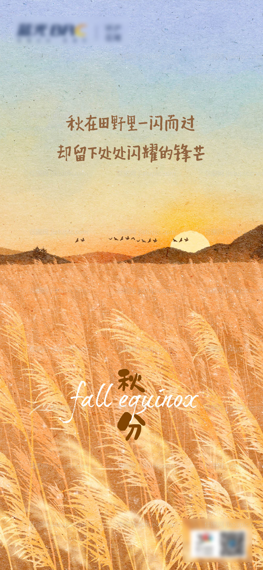 秋分海报-源文件