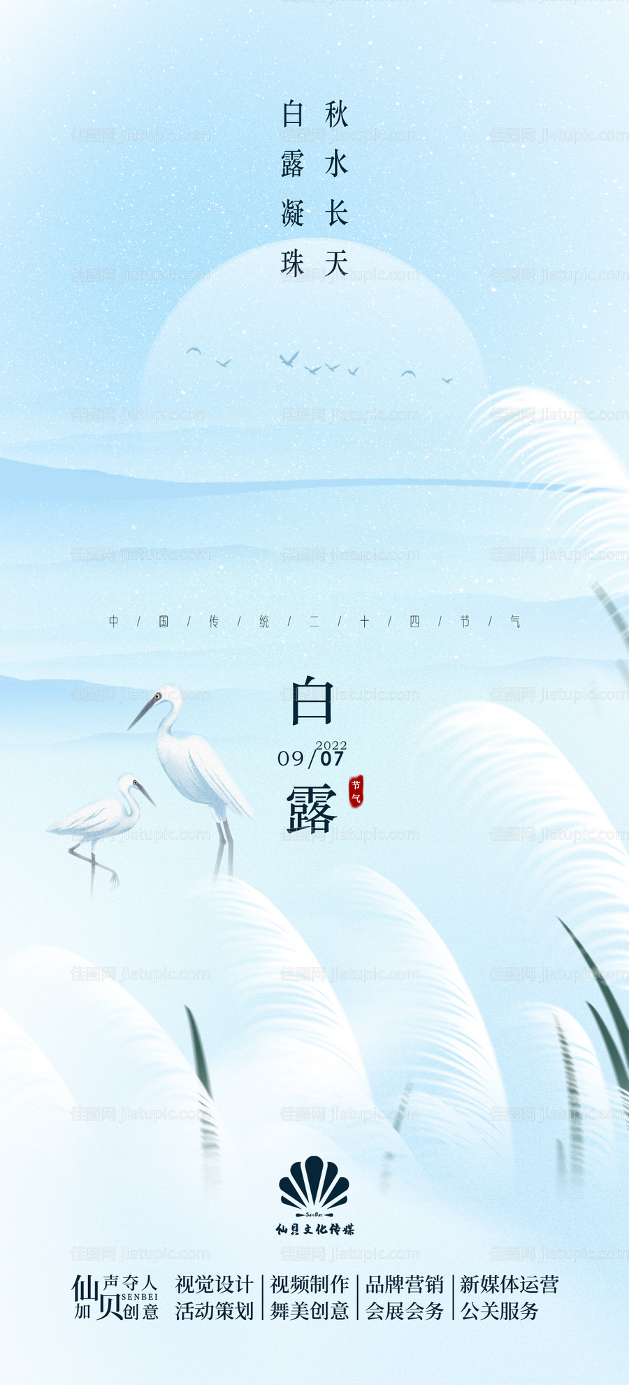 白露节气海报-源文件