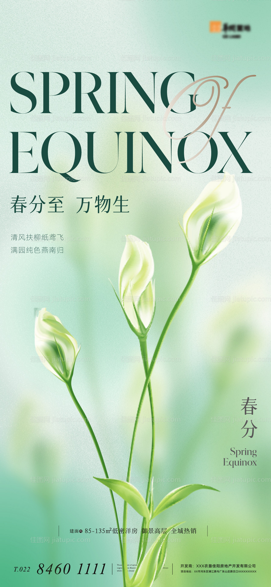 地产意境简约唯美二十四节气春分海报-源文件