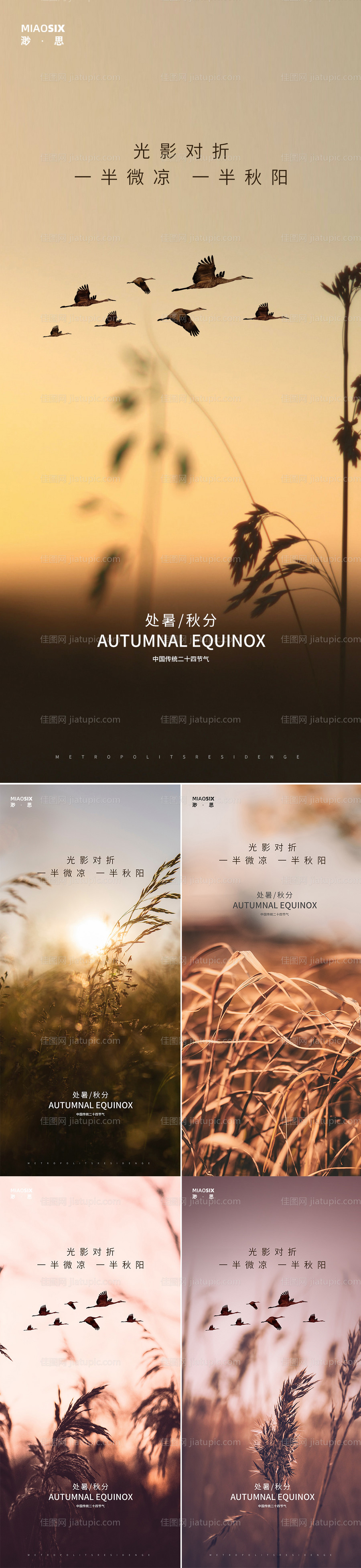 处暑秋分秋意海报-源文件