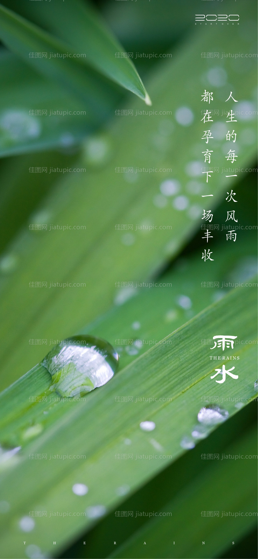 雨水节气海报-源文件
