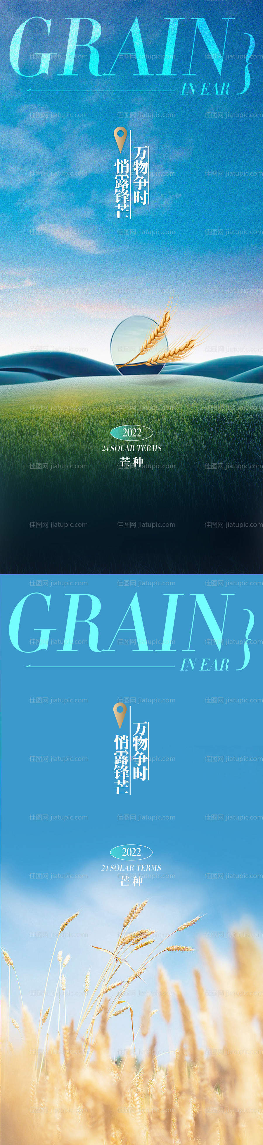 芒种节气系列海报-源文件