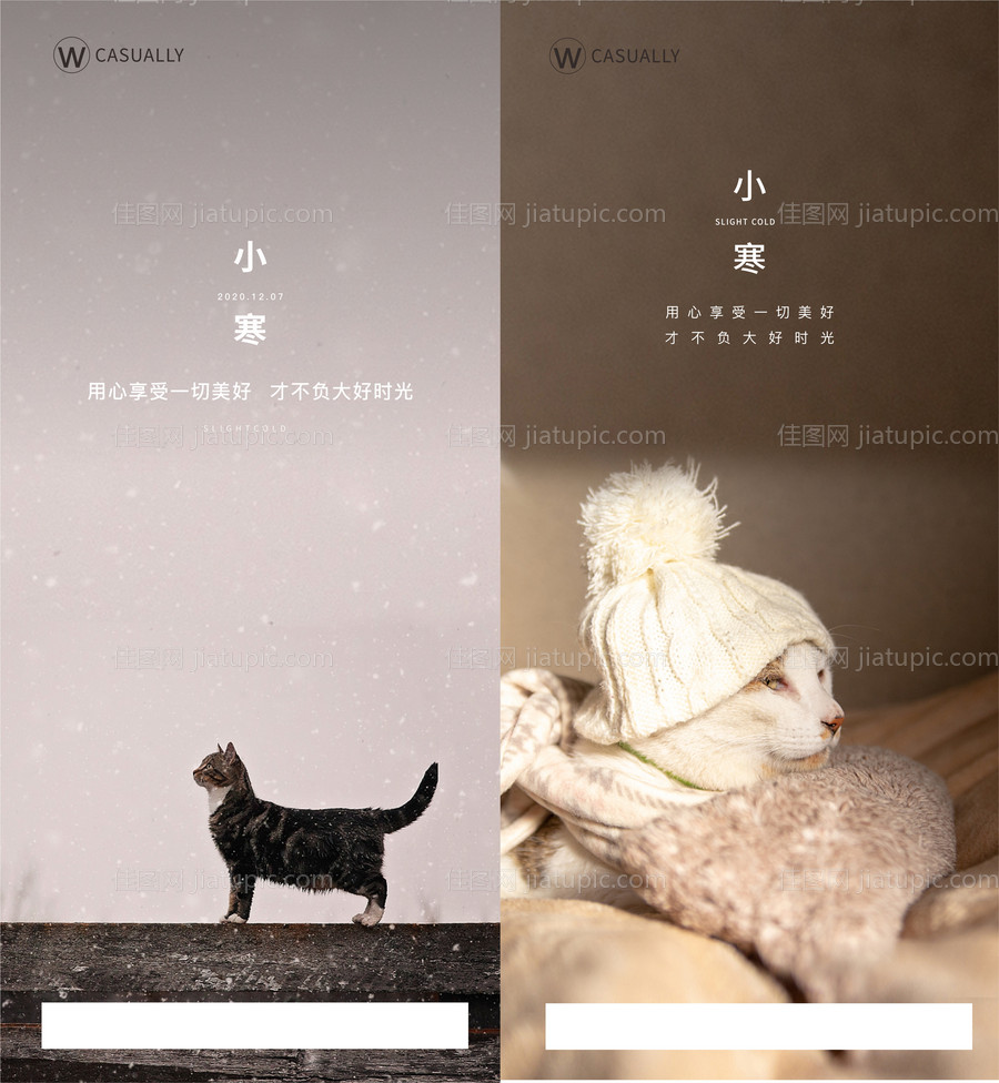 小寒节气系列海报-源文件