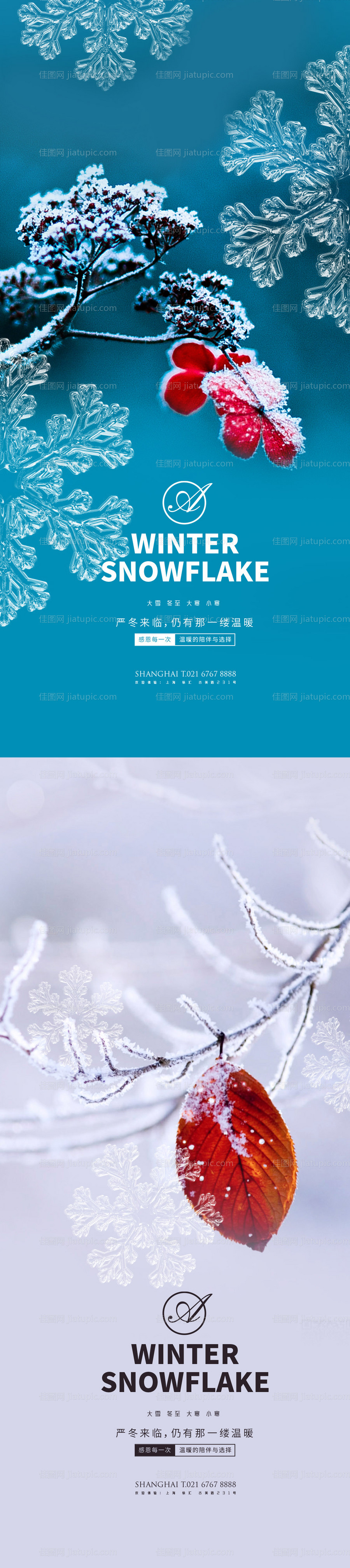 大雪冬至大寒小寒雪花系列海报-源文件