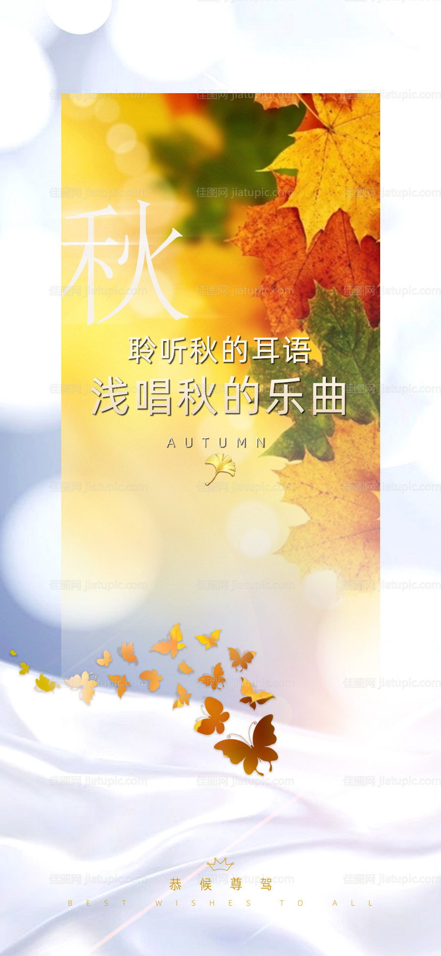 秋分节气海报系列-源文件