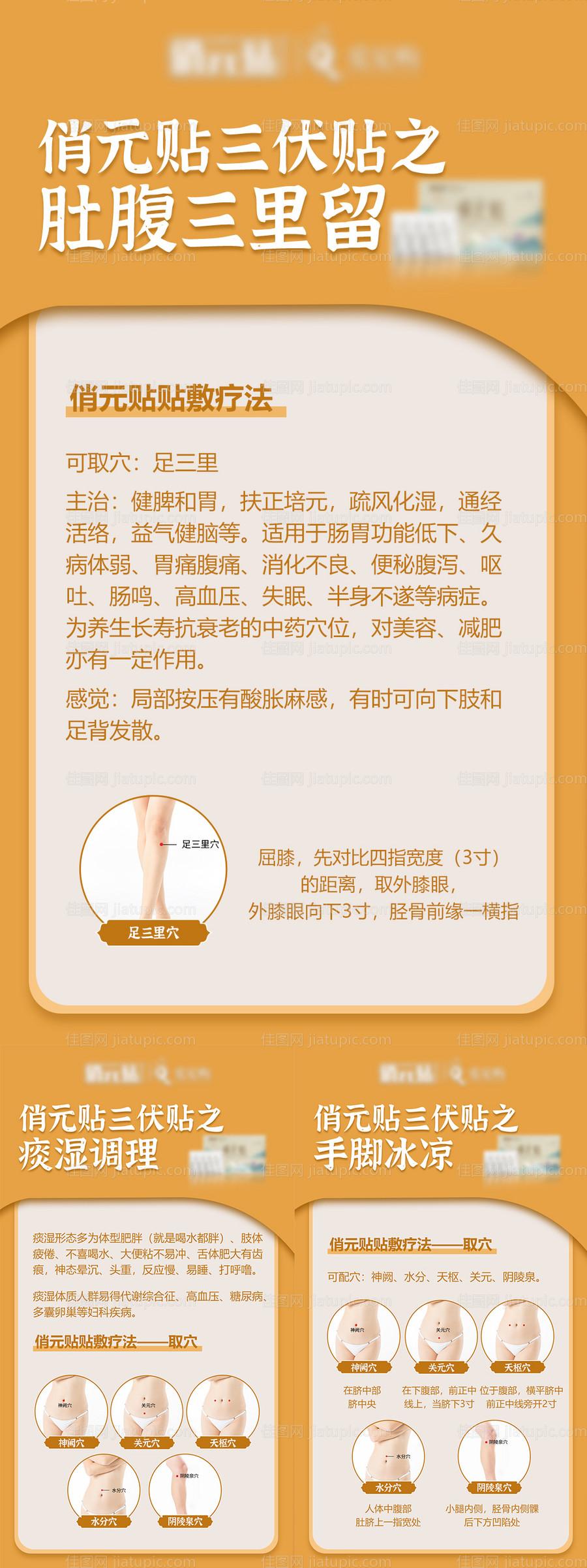 养生穴位贴科普知识系列海报-源文件