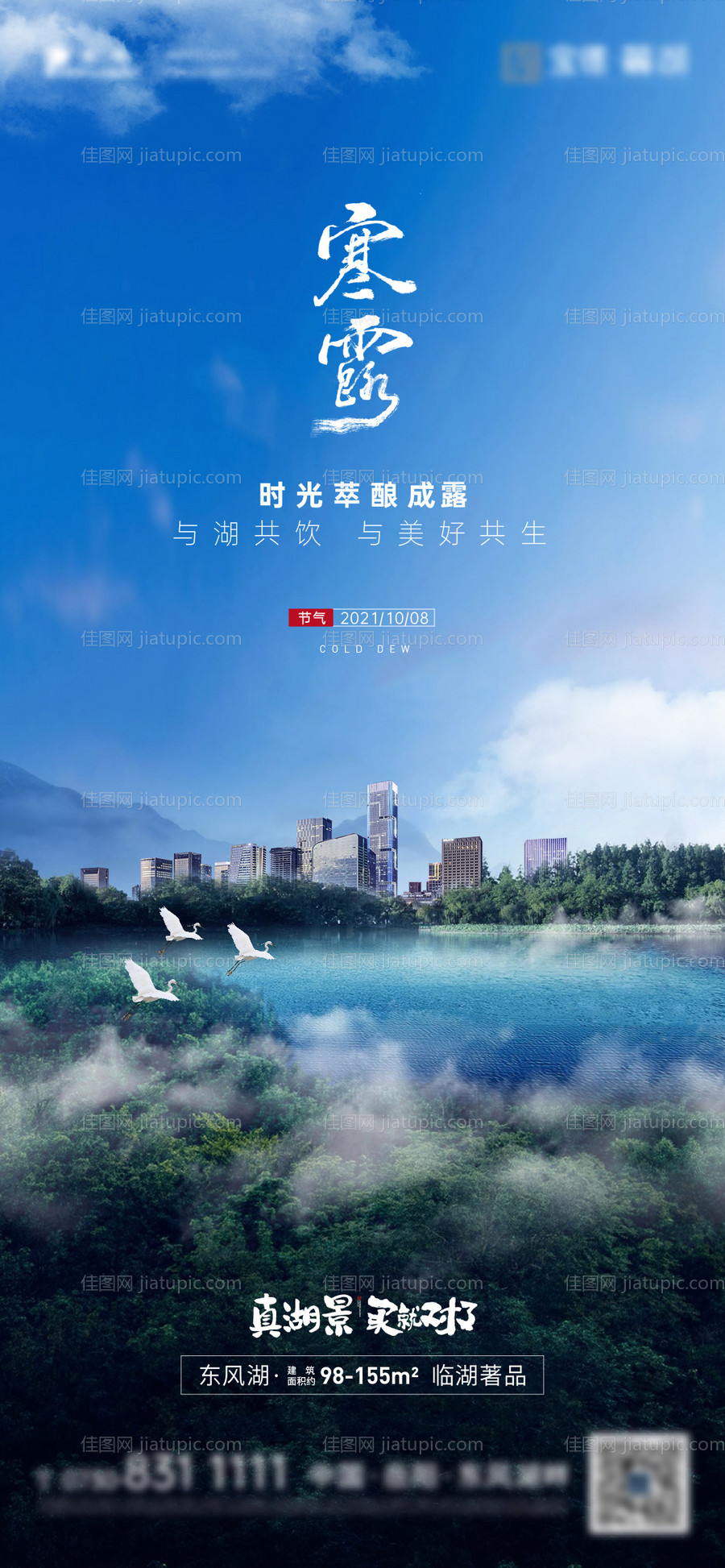 地产二十四节气寒露海报-源文件