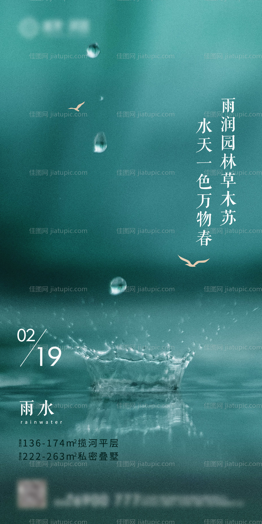 雨水节气移动端海报-源文件