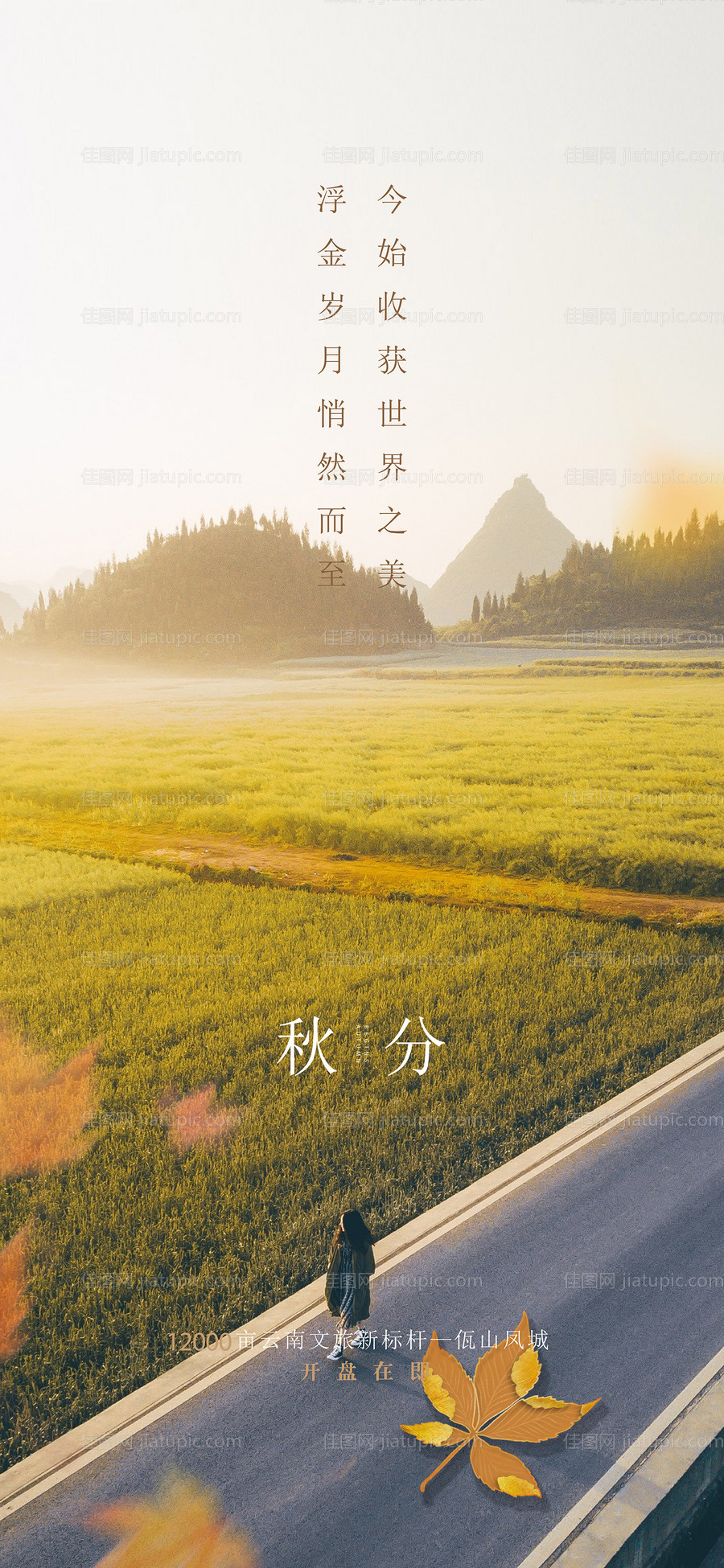 秋分节气移动端海报-源文件