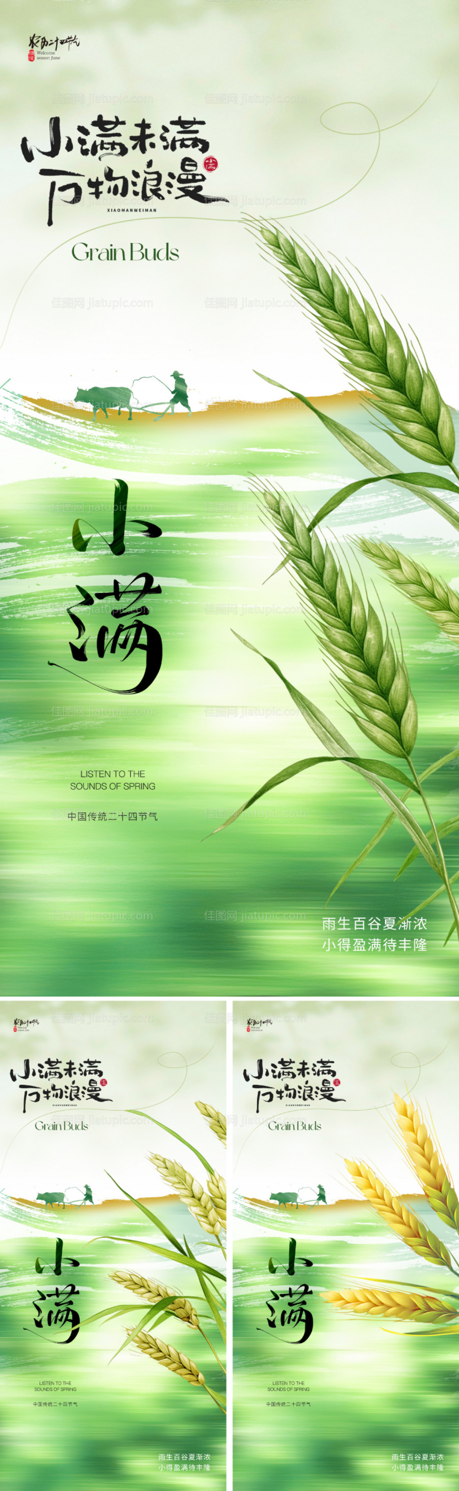 小满节气海报-源文件