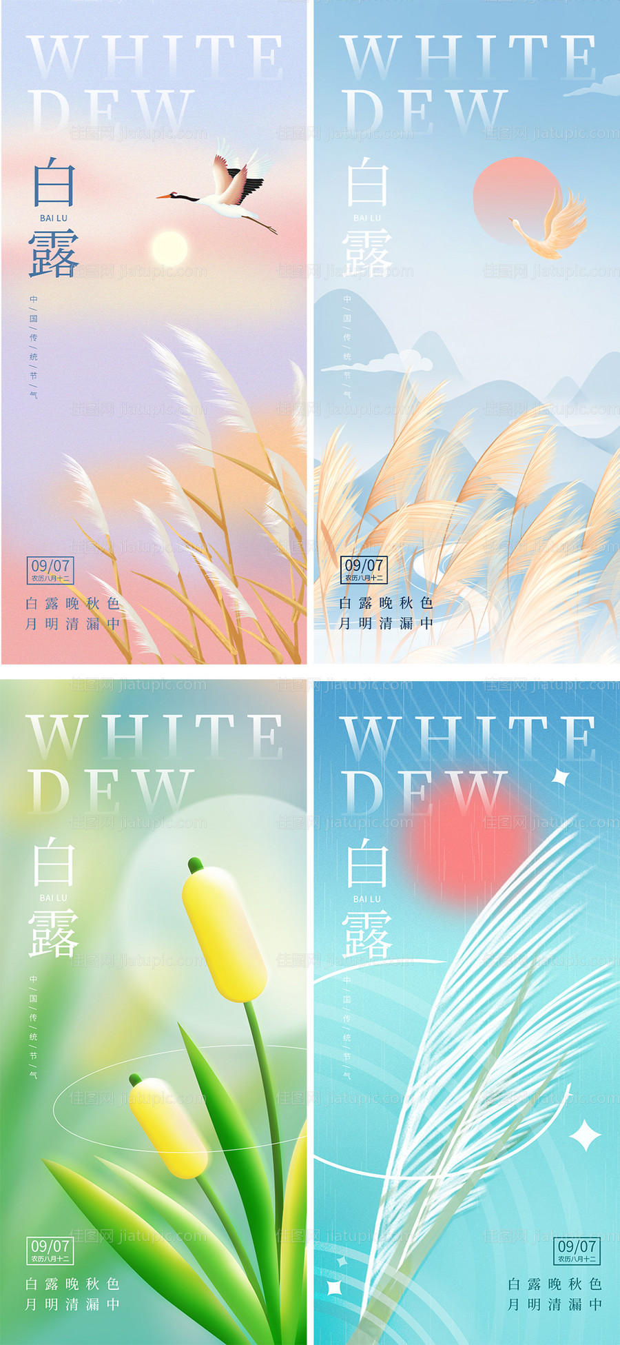 白露二十四节气海报-源文件