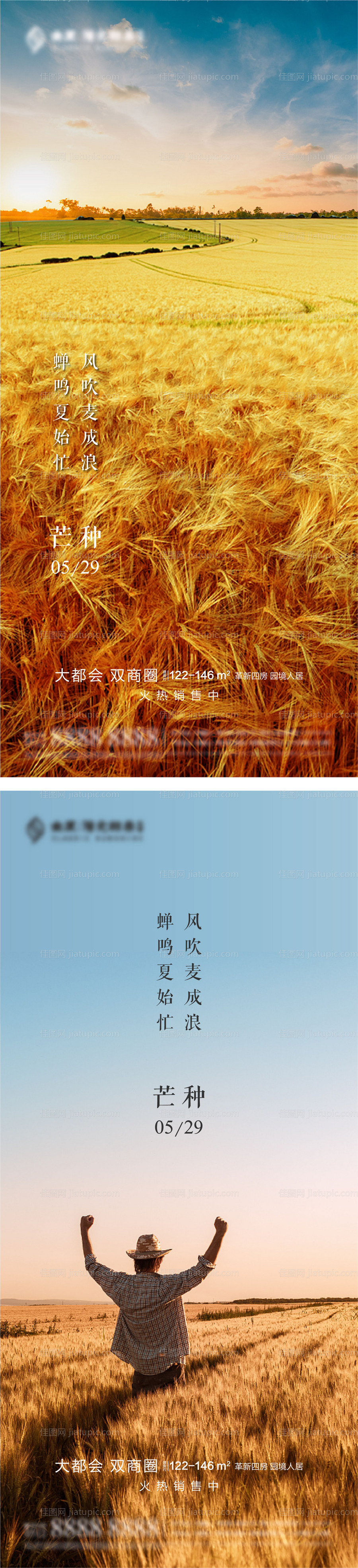 质感芒种节气刷屏海报-源文件