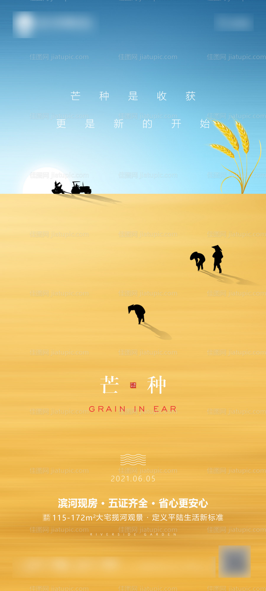 芒种节气海报-源文件