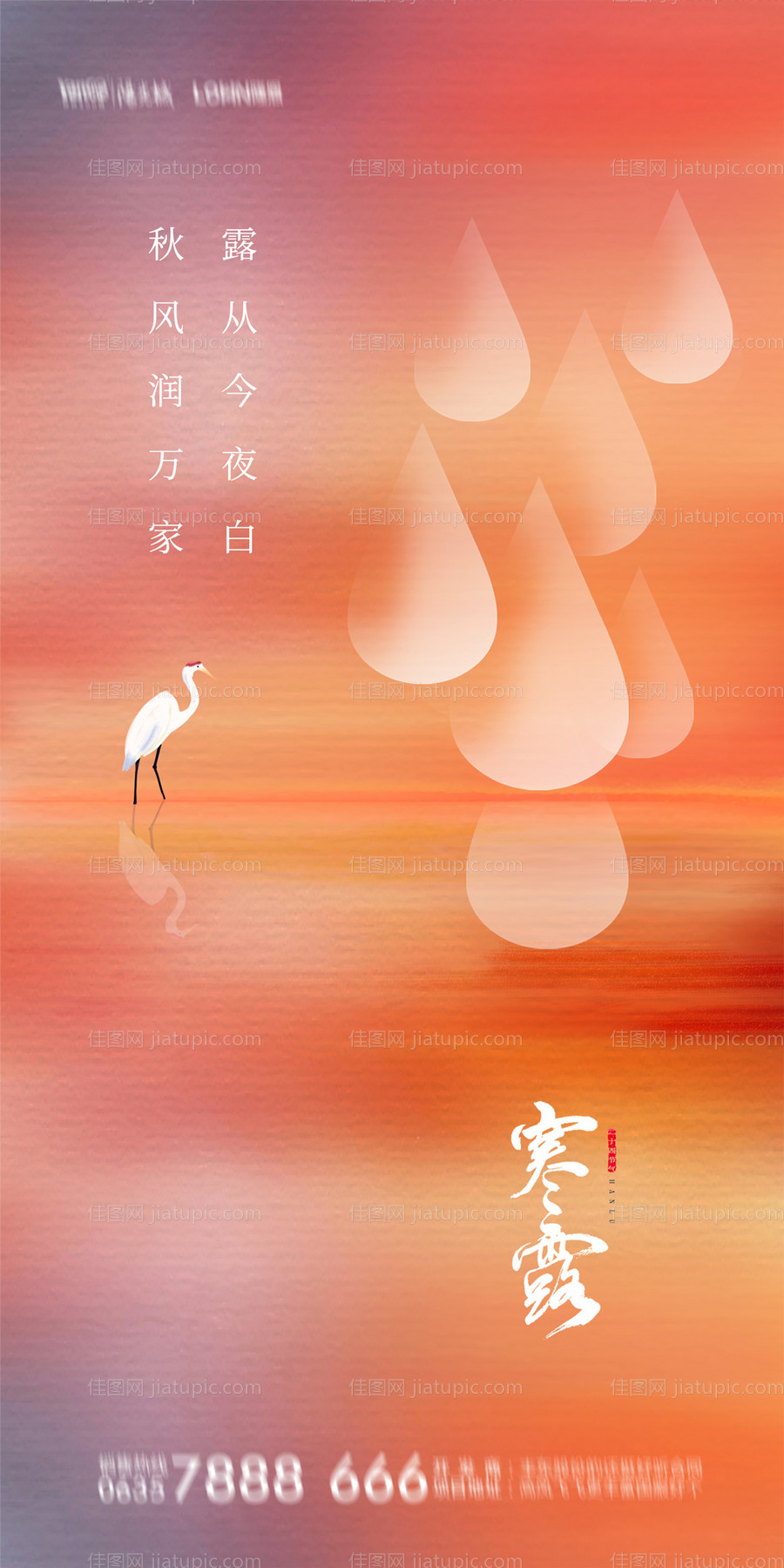 寒露节气海报-源文件