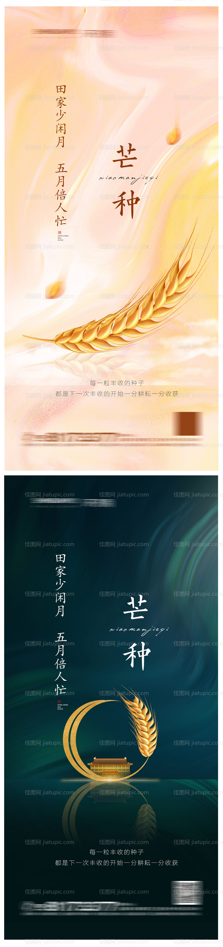 芒种节气系列海报-源文件