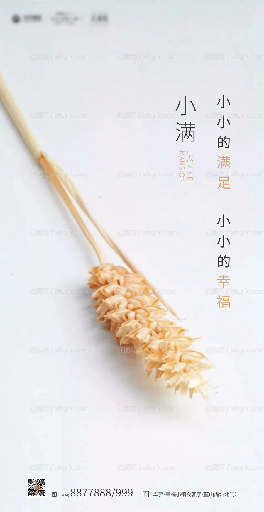 地产小满节气海报-源文件