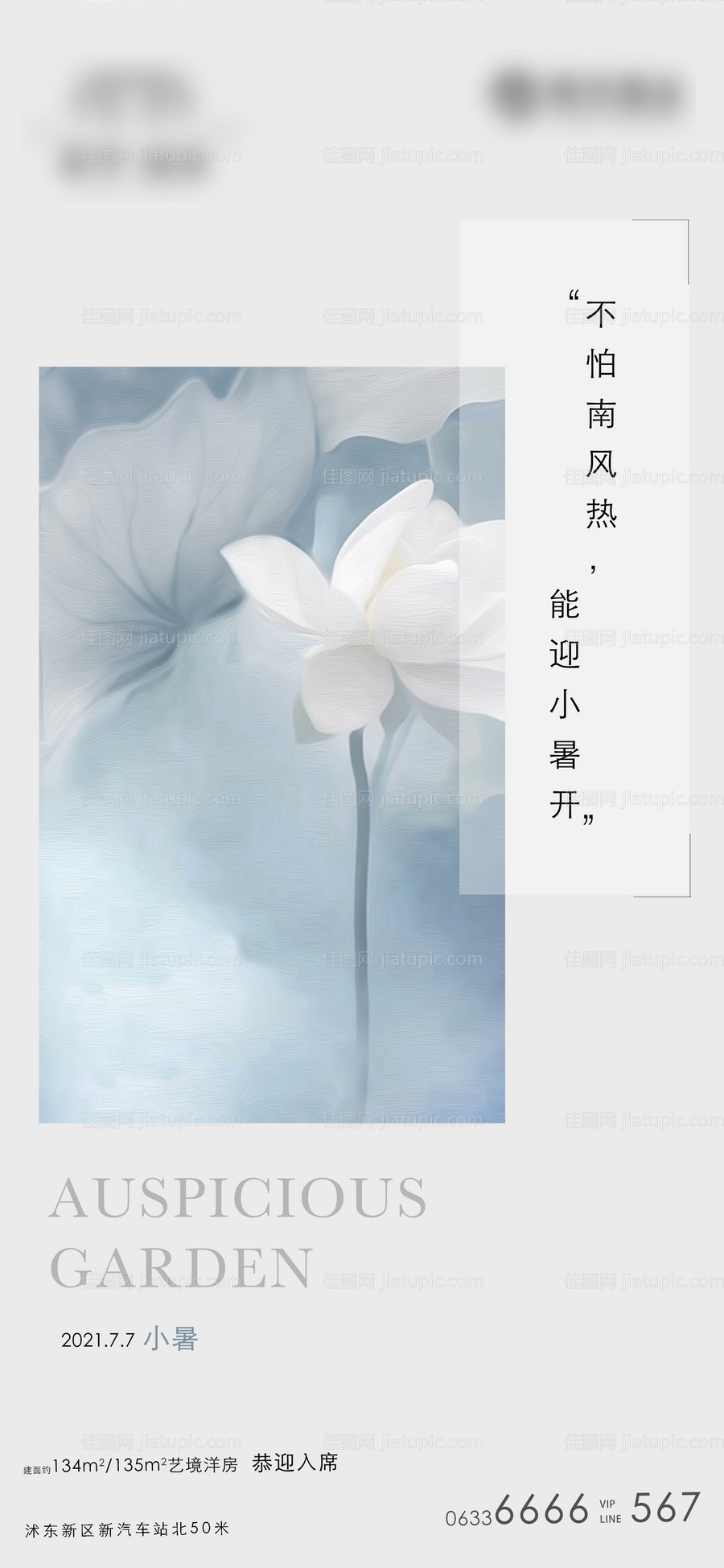 小暑节气海报-源文件