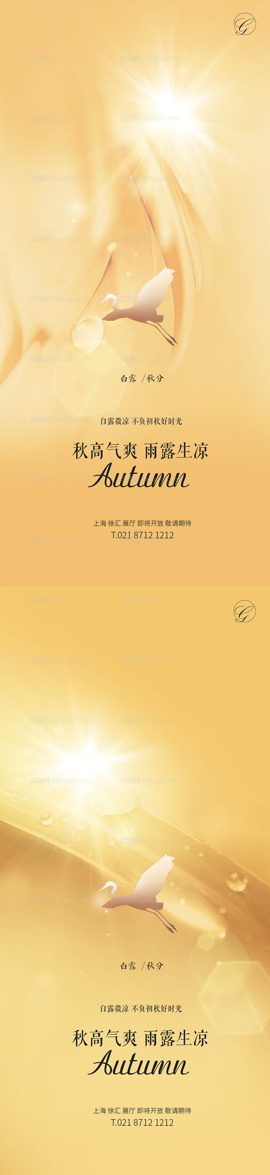 白露秋分节气系列稿-源文件