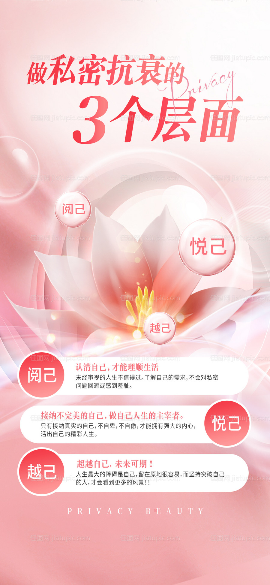 私密抗衰的层面-源文件