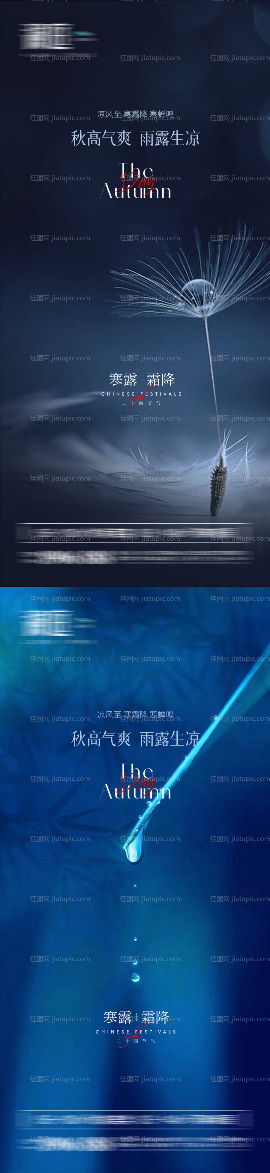 霜降寒露刷屏海报-源文件