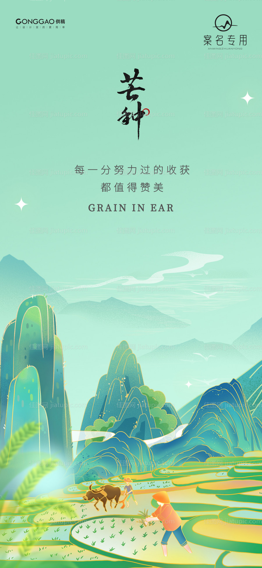 芒种节气海报-源文件