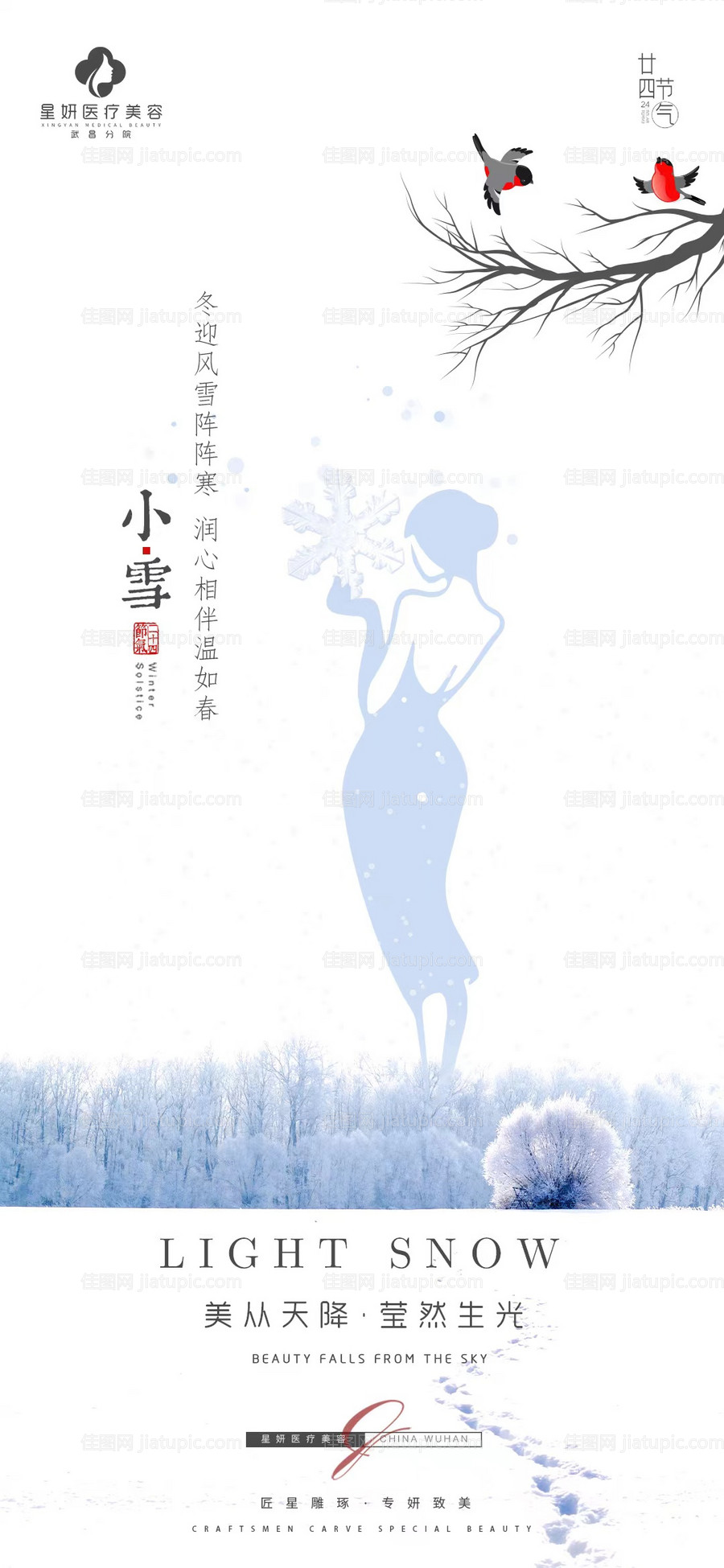医美小雪海报-源文件