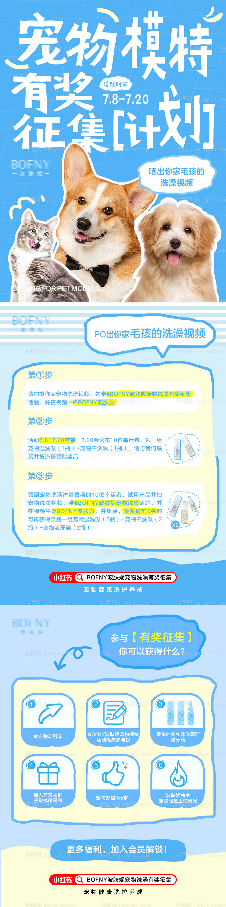 宠物模特有奖征集计划长图-源文件
