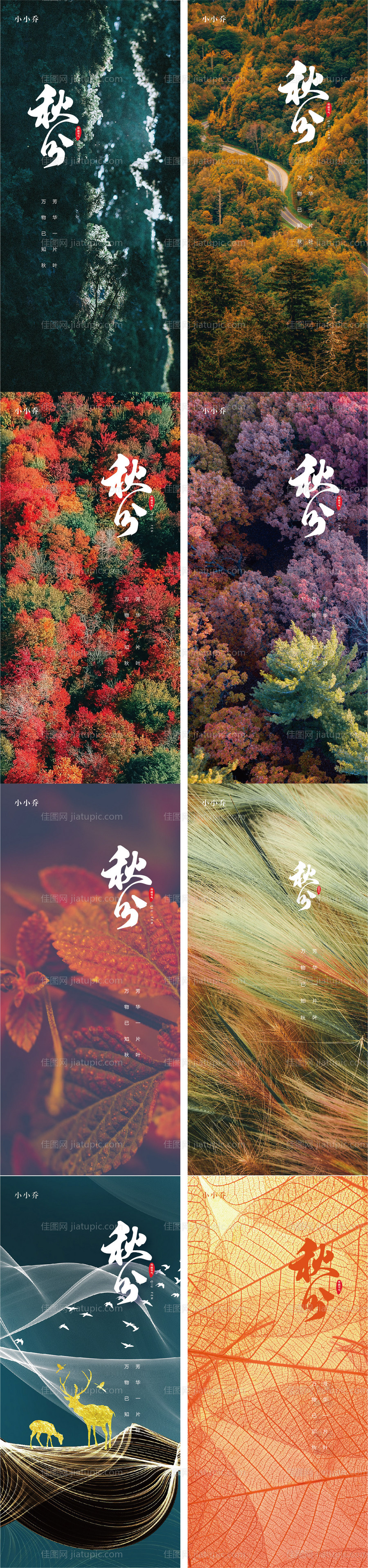 秋分系列海报-源文件