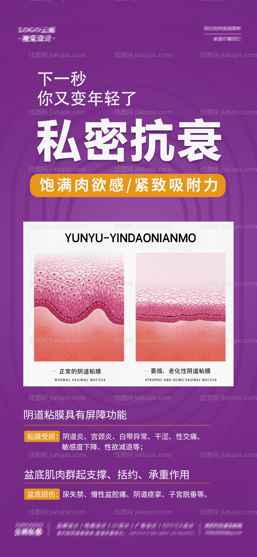 阴道粘膜私密抗衰海报-源文件