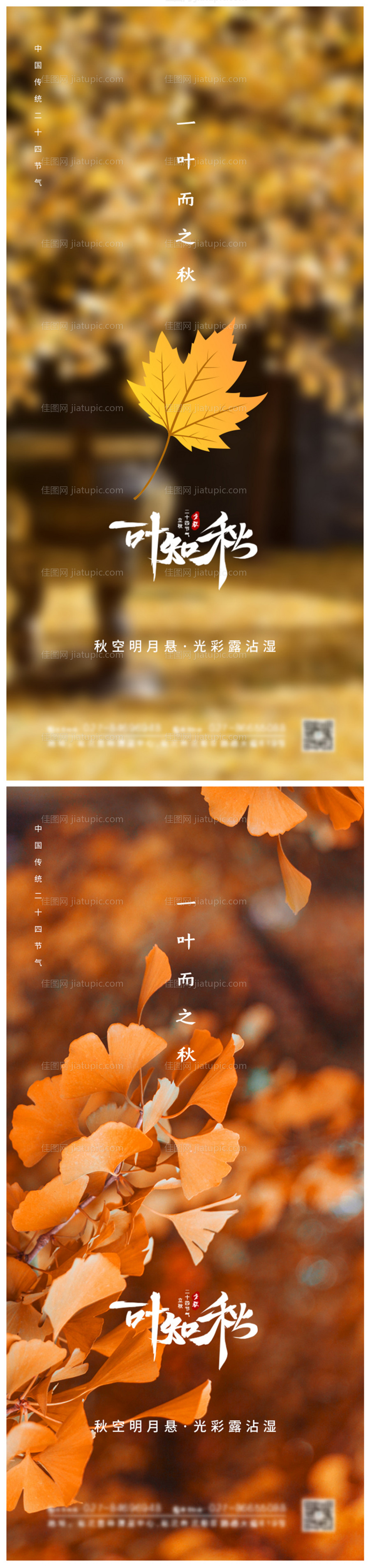 一叶知秋立秋节气海报-源文件