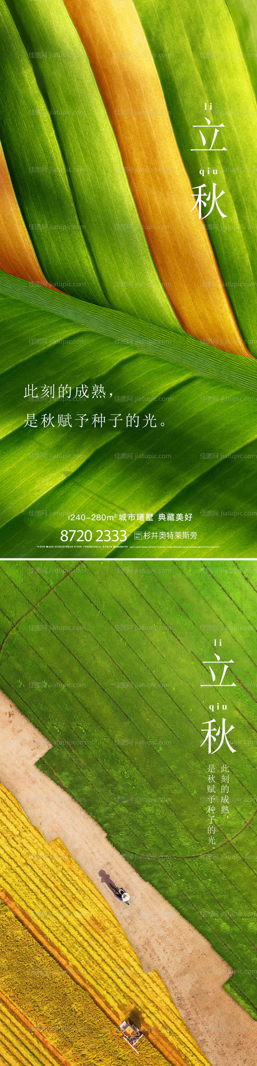 地产立秋节气海报系列-源文件